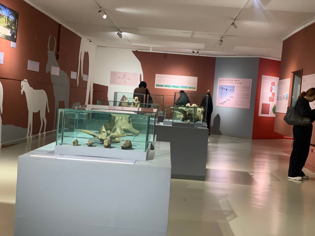 gallery image 64
