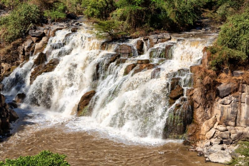 Awash National Park: Where Wildlife Meets Wilderness