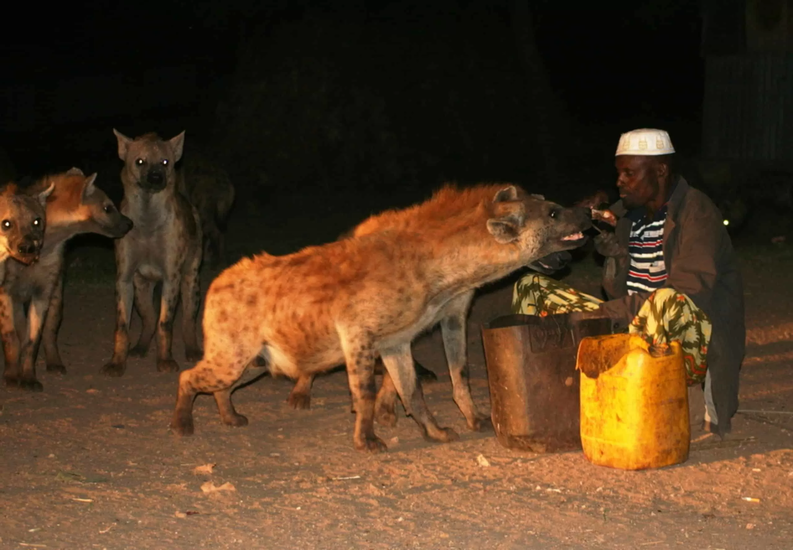Harar: The Walled City of Peace